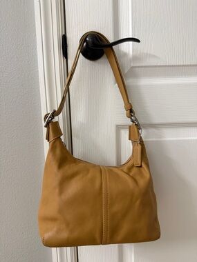 Everyday Leather Hobo Bag in Tan